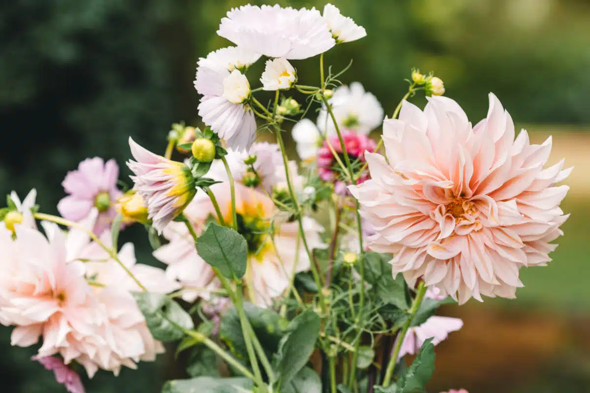 Brand photography Central West NSW