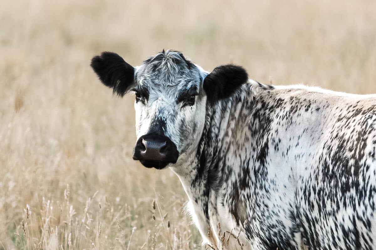 20220205173203 302a6576