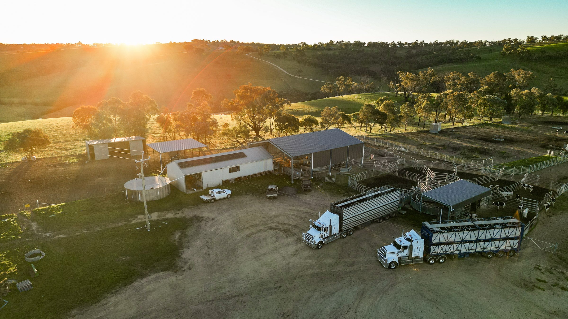 Hamlet And Fields Central West Ag Marketing Agency
