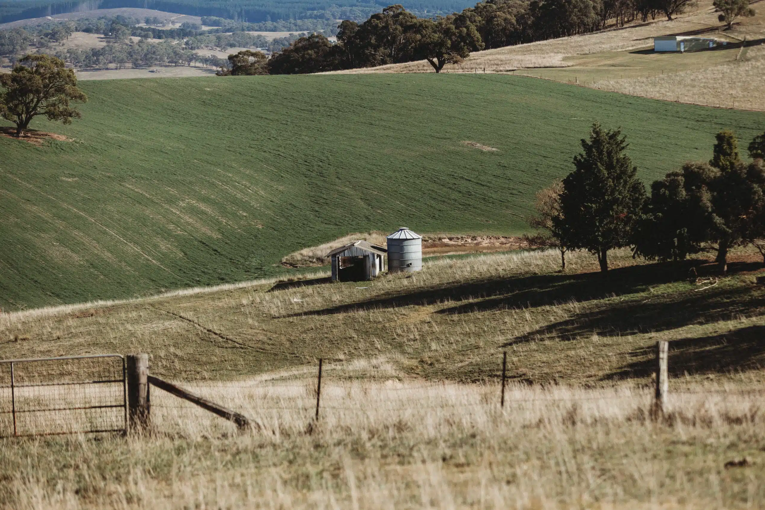 Rural Paddock 01