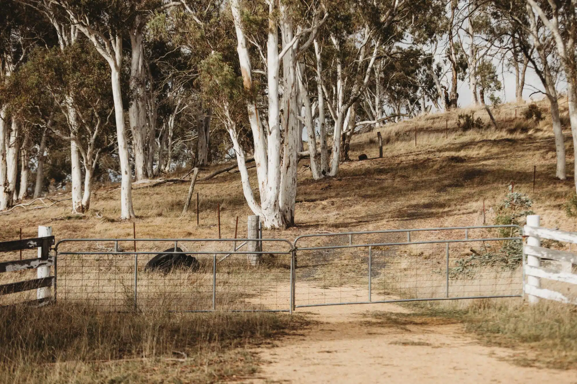 Hamlet Fields Our Work Gate